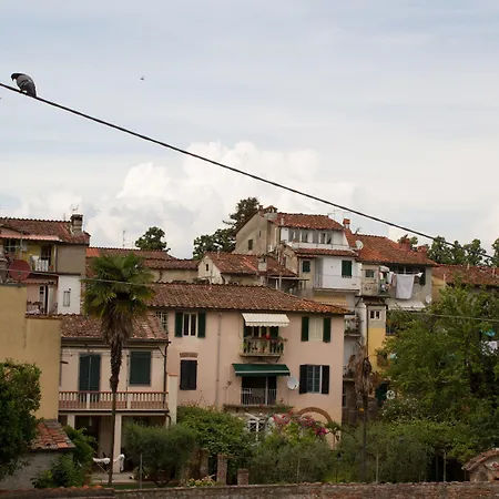 La Gemma Di Elena 2*