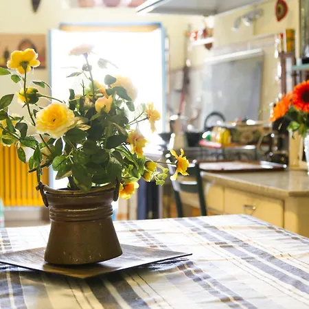 La Gemma Di Elena Bed & Breakfast Lucca